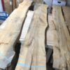 Live Edge Benches slab seelction